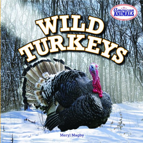 Stock image for Wild Turkeys (American Animals) for sale by Jenson Books Inc