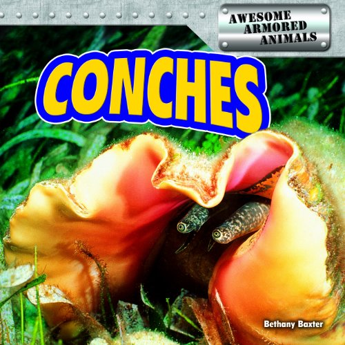 Imagen de archivo de Conches (Awesome Armored Animals) a la venta por More Than Words