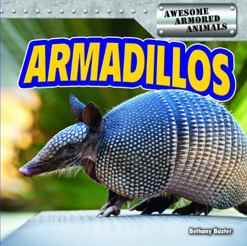 9781477707975: ARMADILLOS (Awesome Armored Animals)