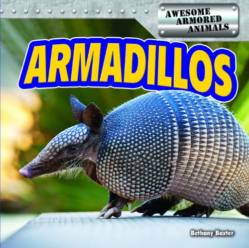 Imagen de archivo de Armadillos a la venta por Better World Books