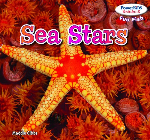 Stock image for Sea Stars for sale by ThriftBooks-Atlanta