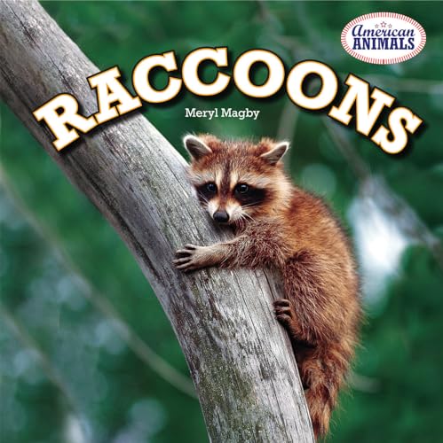 Stock image for Raccoons (American Animals, 6) for sale by SecondSale