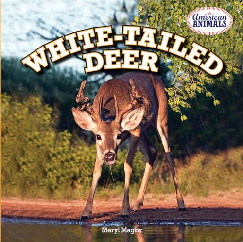 9781477709566: White-Tailed Deer (American Animals, 5)