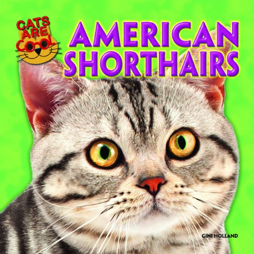 American Shorthairs (Cats Are Cool) (9781477712771) by Holland, Gini