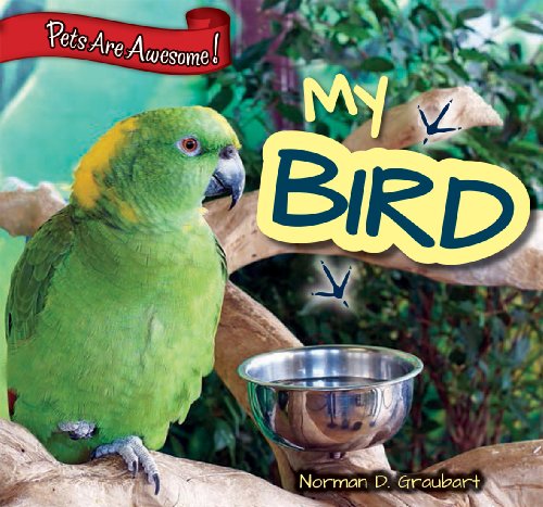 Beispielbild fr My Bird zum Verkauf von Better World Books: West