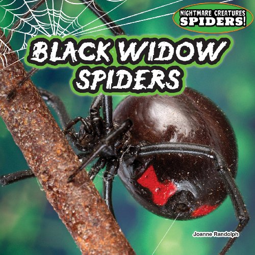 Beispielbild fr Black Widow Spiders zum Verkauf von Better World Books