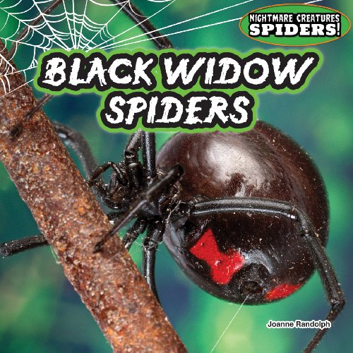Stock image for Black Widow Spiders for sale by Better World Books