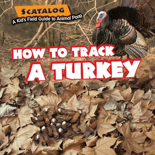 Imagen de archivo de How to Track a Turkey a la venta por Better World Books: West