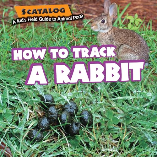 Imagen de archivo de How to Track a Rabbit a la venta por Better World Books