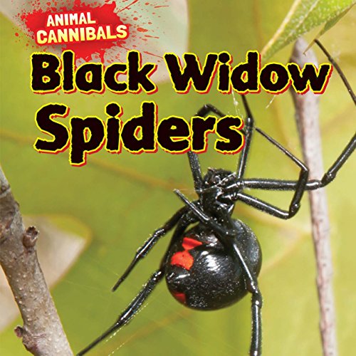 9781477757451: Black Widow Spiders