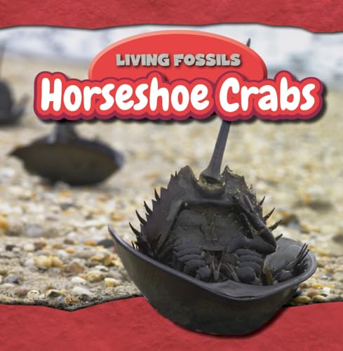 Stock image for Horseshoe Crabs for sale by Better World Books