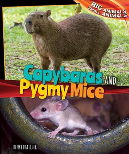Beispielbild fr Capybaras and Pygmy Mice zum Verkauf von Better World Books