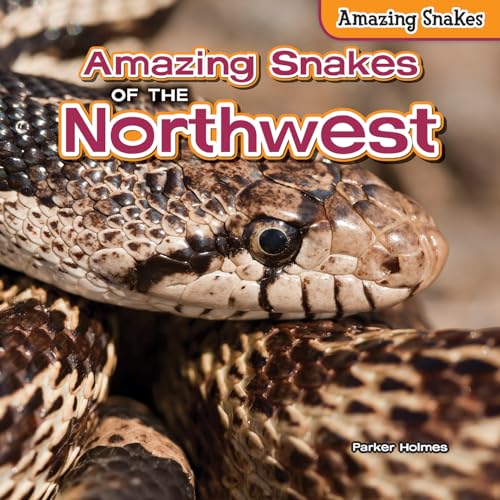 Beispielbild fr Amazing Snakes of the Northwest (Amazing Snakes, 2) zum Verkauf von Irish Booksellers