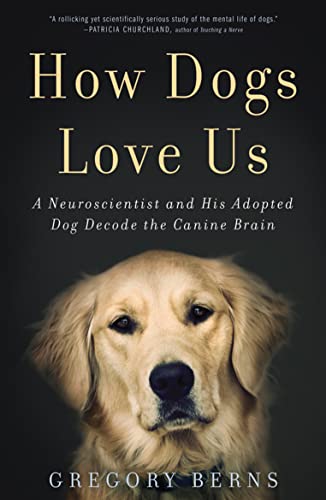 Beispielbild fr How Dogs Love Us: A Neuroscientist and His Adopted Dog Decode the Canine Brain zum Verkauf von WorldofBooks