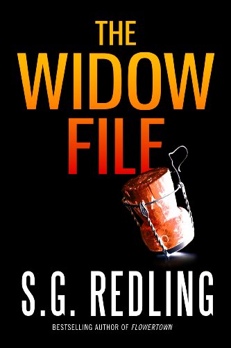 Stock image for The Widow File for sale by Better World Books