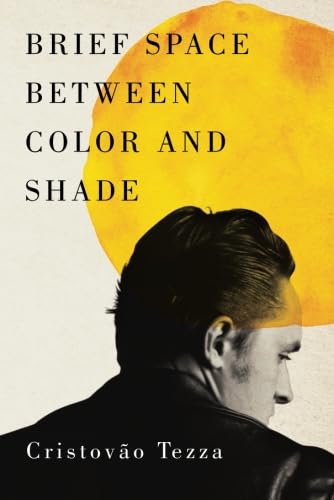 Beispielbild fr Brief Space Between Color and Shade zum Verkauf von Revaluation Books