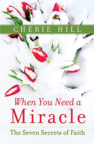 Imagen de archivo de When You Need a Miracle: The Seven Secrets of Faith a la venta por ZBK Books