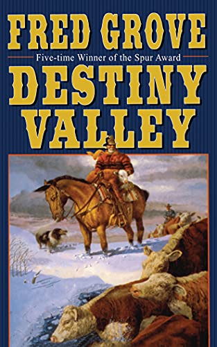 9781477841372: Destiny Valley