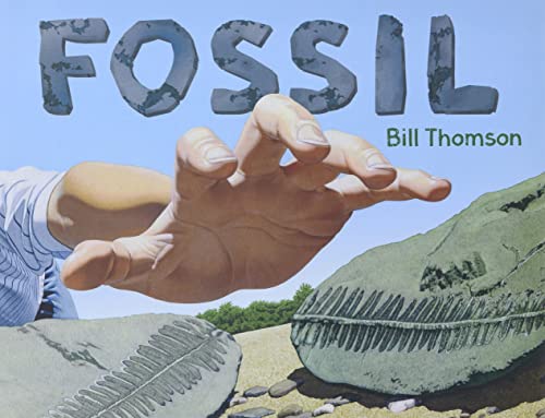Stock image for Fossil for sale by SecondSale