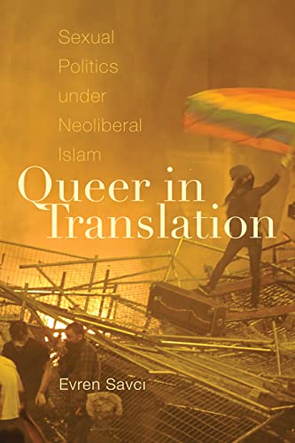Imagen de archivo de Queer in Translation a la venta por Blackwell's