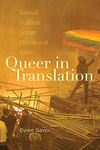 Imagen de archivo de Queer in Translation a la venta por Blackwell's