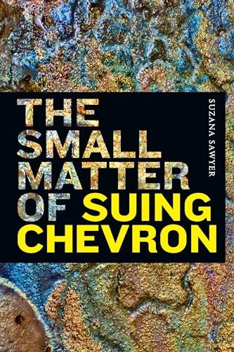 9781478015338: The Small Matter of Suing Chevron