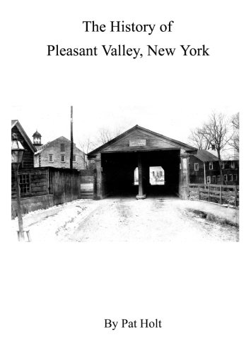 Stock image for The History of Pleasant Valley, New York for sale by Affordable Collectibles