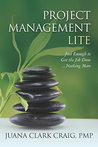 Beispielbild fr Project Management Lite : Just Enough to Get the Job Done. Nothing More zum Verkauf von Better World Books