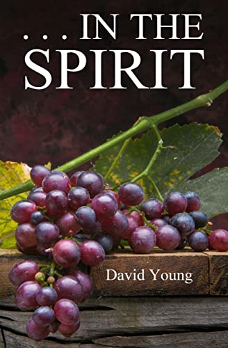 . . . In The Spirit (9781478188742) by Young, David