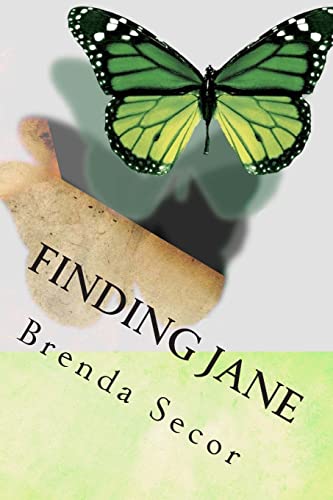 9781478189671: Finding Jane: Dealing With Child Abuse: Volume 1