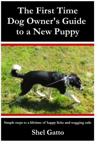 Stock image for The First Time Dog Owner's Guide to a New Puppy for sale by Better World Books