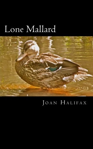 Stock image for Lone Mallard for sale by Ergodebooks