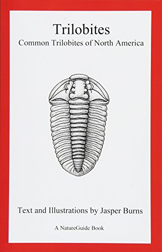Beispielbild fr Trilobites: Common Trilobites of North America (A NatureGuide Book) zum Verkauf von Studibuch