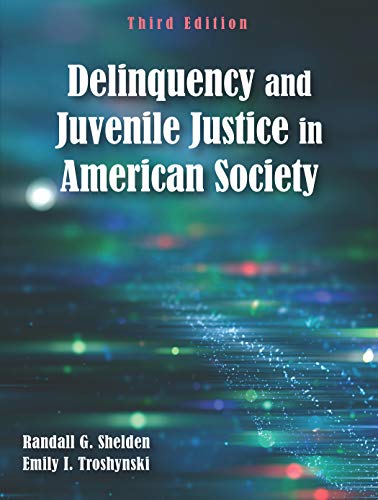 Stock image for Delinquency and Juvenile Justice in American Society, Third Edition for sale by Byrd Books
