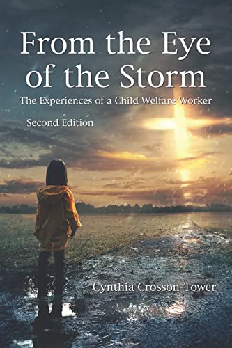 Stock image for From the Eye of the Storm : The Experiences of a Child Welfare Worker for sale by Better World Books