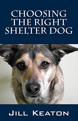 9781478740223: Choosing the Right Shelter Dog