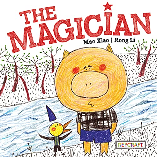 Beispielbild fr Finding the Magician: The Magician zum Verkauf von Revaluation Books