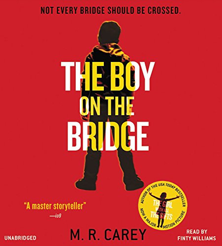 Beispielbild fr The Boy on the Bridge zum Verkauf von HPB-Red