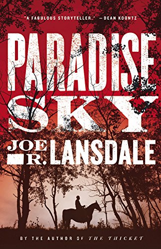 Stock image for Paradise Sky for sale by Half Price Books Inc.