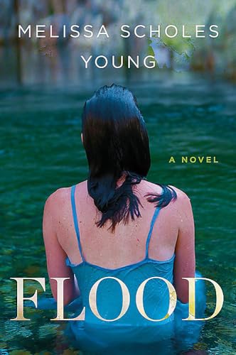 Beispielbild fr Flood: A Novel zum Verkauf von SecondSale