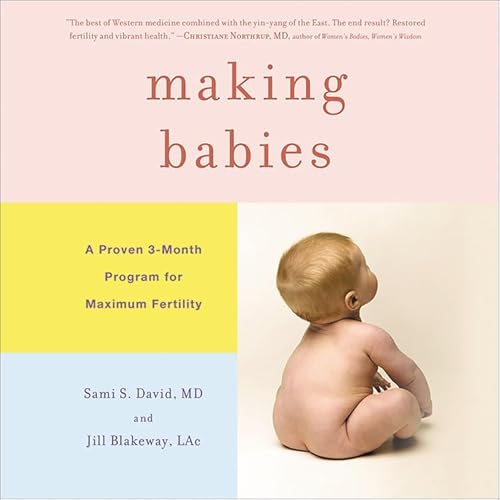 Imagen de archivo de Making Babies: A Proven 3-Month Program for Maximum Fertility a la venta por Save With Sam