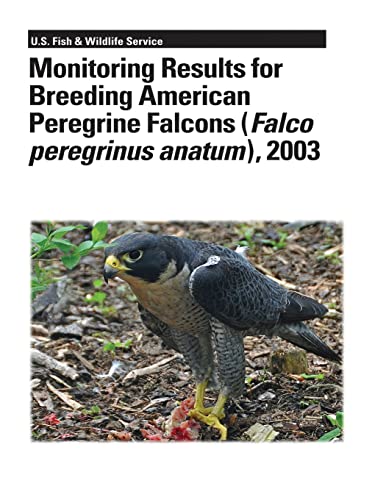 Monitoring Results for Breeding American Peregrine Falcons (Falco peregrinus anatum), 2003 (9781479141104) by Green, Michael; Swem, Ted; Morin, Marie; Mesta, Robert; Klee, Mary; Hollar, Kathy; Hazlewood, Rob; Delphey, Phil; Currie, Robert; Amaral, Michael