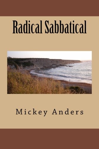 Beispielbild fr Radical Sabbatical zum Verkauf von Revaluation Books