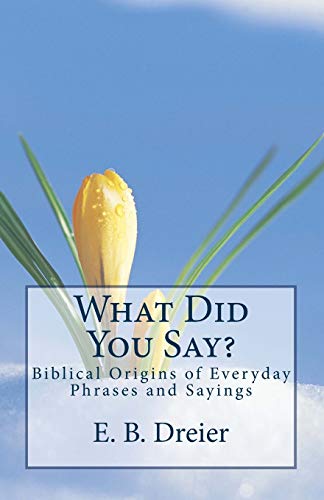 9781479336128: What Did You Say?: Biblical Origins for Everyday Phrases and Sayings.: Volume 1