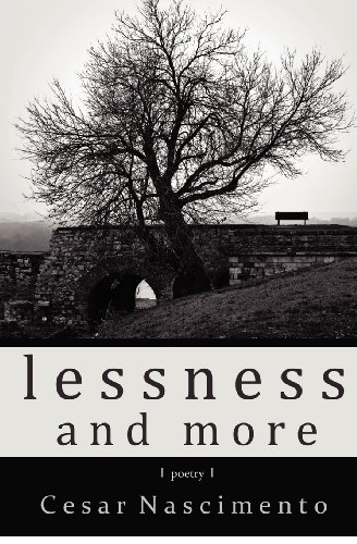 9781479369676: Lessness and More