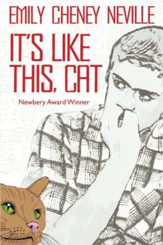 Imagen de archivo de It's Like This, Cat: Newbery Award Winner a la venta por ThriftBooks-Dallas