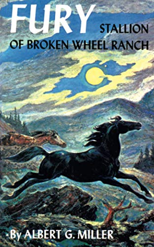 Stock image for Fury: Stallion of Broken Wheel Ranch for sale by Irish Booksellers