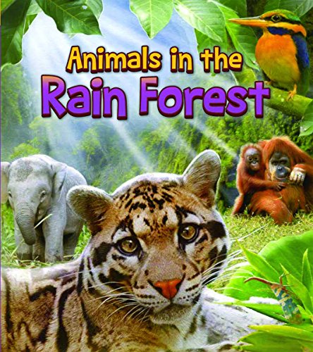 Stock image for Animals in the Rain Forest (Animals All Day!) for sale by Books-R-Keen