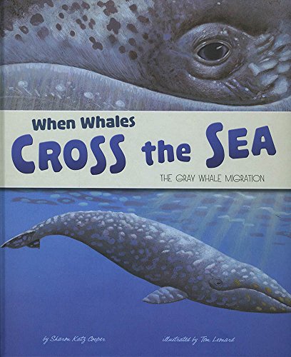 9781479560790: When Whales Cross the Sea: The Gray Whale Migration