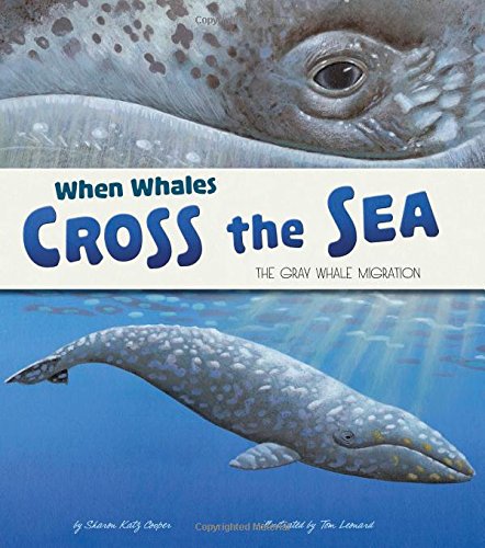 9781479561070: When Whales Cross the Sea: The Gray Whale Migration (Extraordinary Migrations)